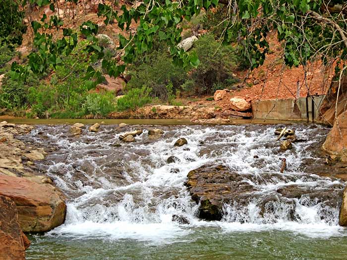 virgin river