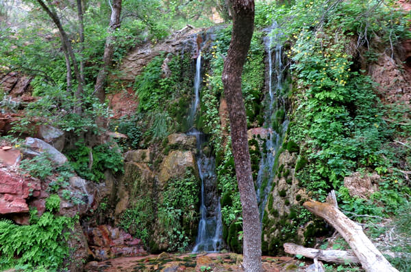 how much water is needed for zion